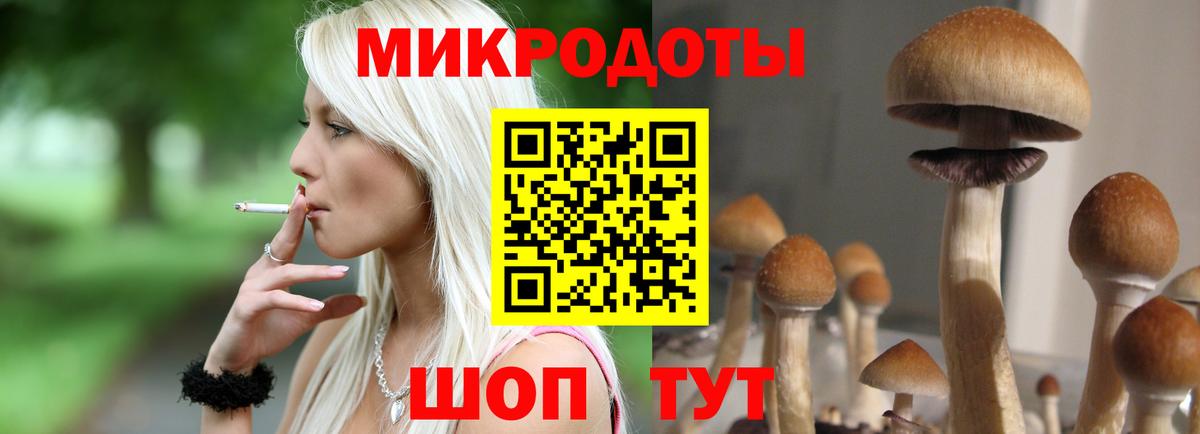 Псилоцибиновые грибы Psilocybe Михайловка